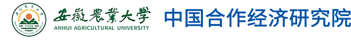 407中国合作经济研究院